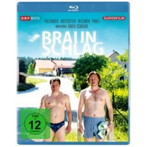 Braunschlag